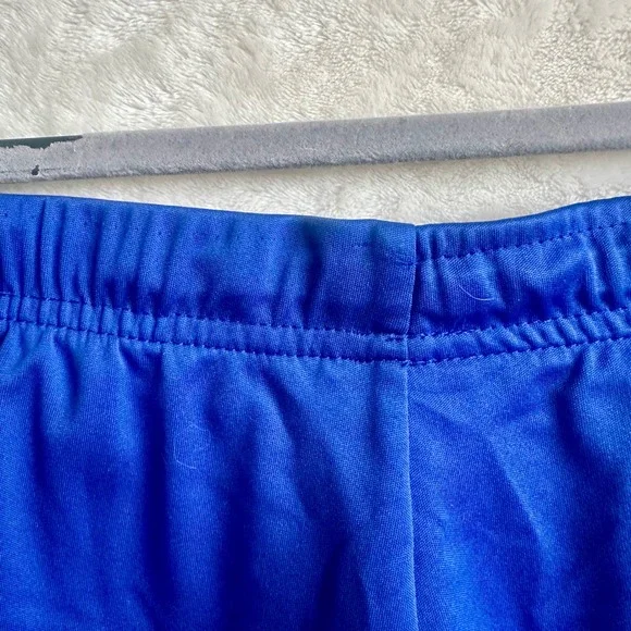 Colosseum Athletics Royal Blue Orange Florida Gators Drawstring Running Shorts L - Picture 7 of 7